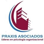 Consultora Praxis Asociados Limitada